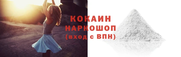 винт Новозыбков