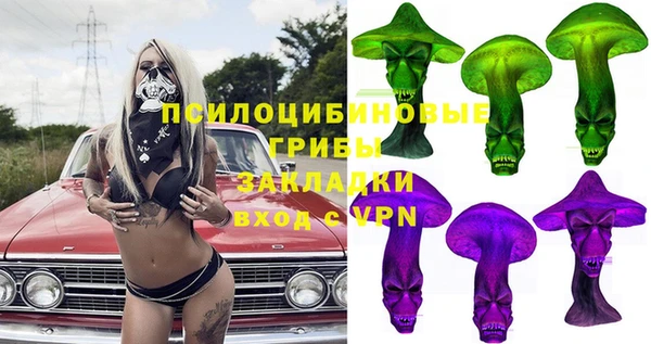 не бодяженный Няндома