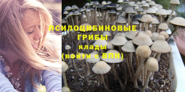 не бодяженный Няндома