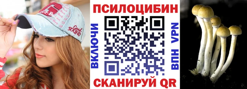 где купить наркотик  Полярный  Псилоцибиновые грибы Magic Shrooms 